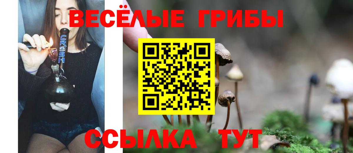 Ливны  Галлюциногенные грибы GOLDEN TEACHER  Вход с VPN  Псилоцибиновые грибы MAGIC MUSHROOMS 